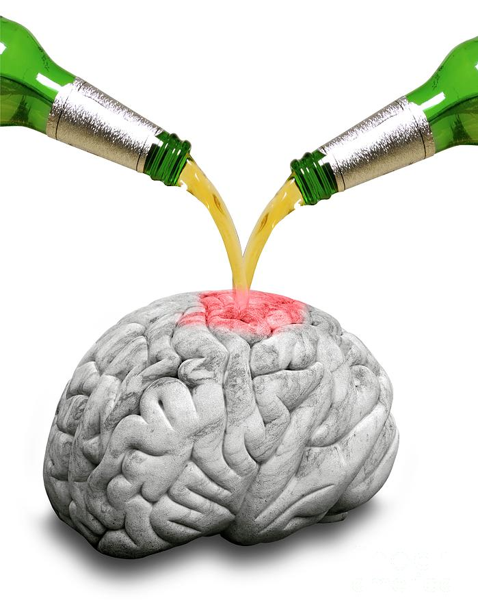 why alcohol could be considered a stimulant